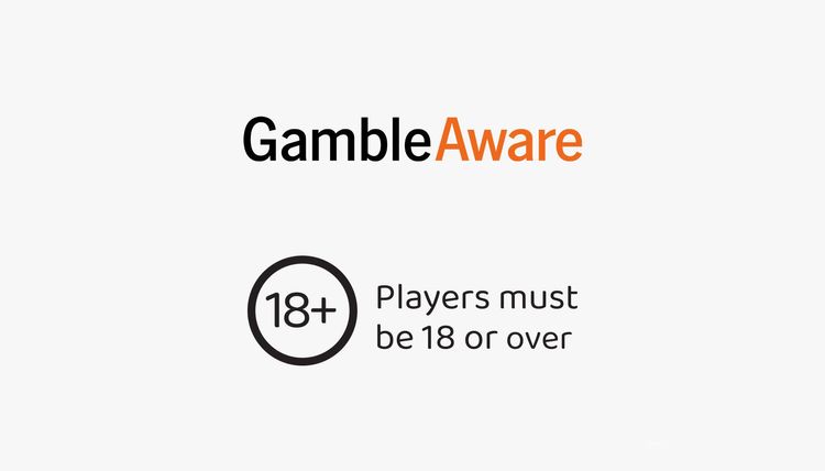 Gamble aware logo and players must be 18 or over logo