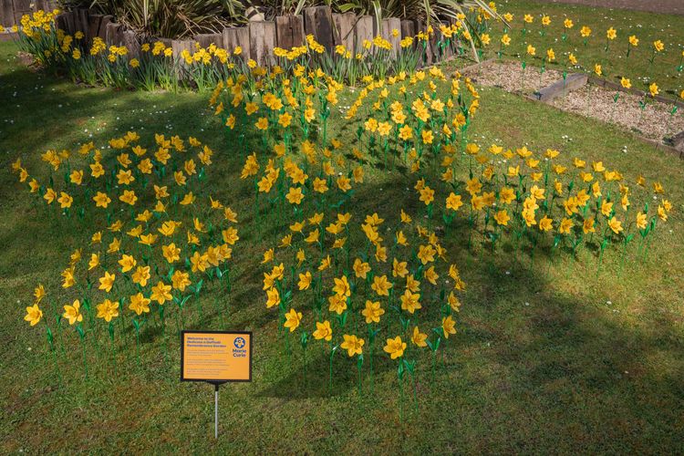 A remembrance garden