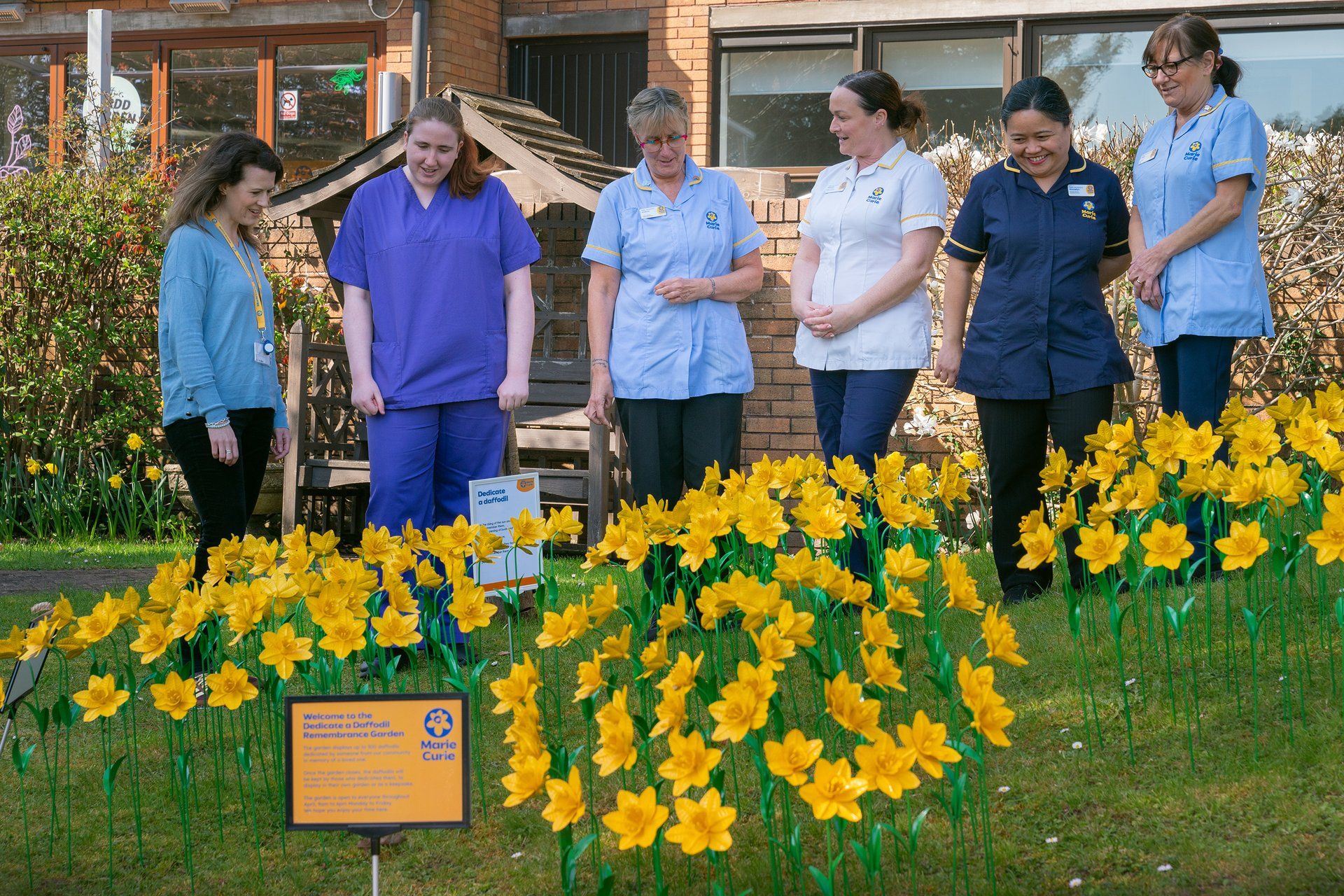 An installation of hundreds of daffodils in memory of loved ones who have died has opened to the public at a hospice garden in Penarth.